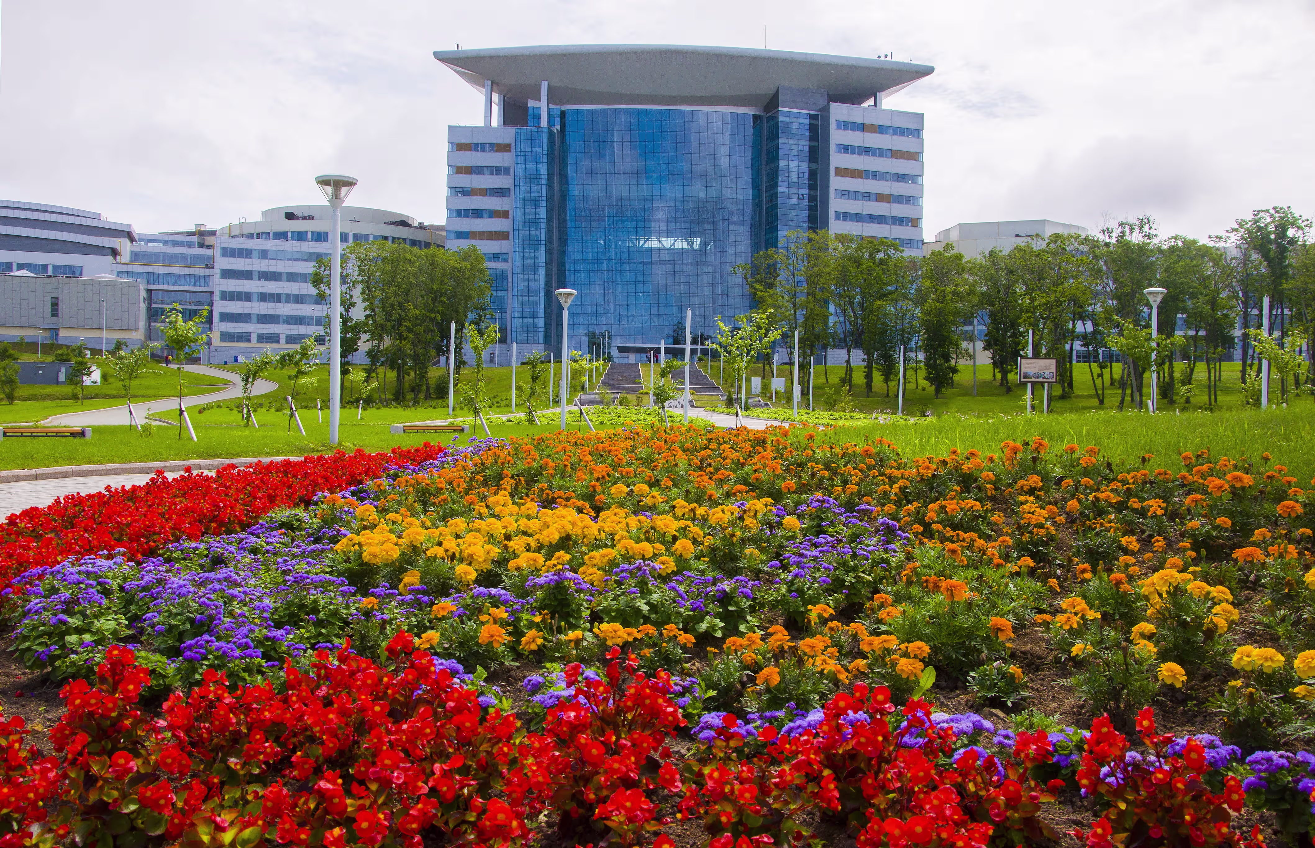 FEFU Campus Panorama